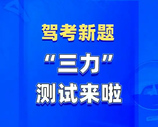 揭秘2024新奥资料，免费获取精准信息的途径