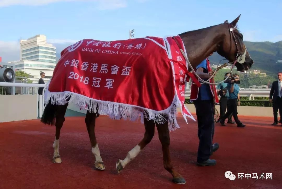 WW777766香港马会总纲诗——探寻赛马文化的诗意表达