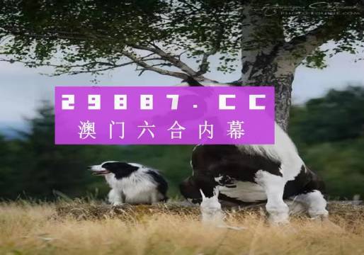 探索新版跑狗，77777与88888的魅力