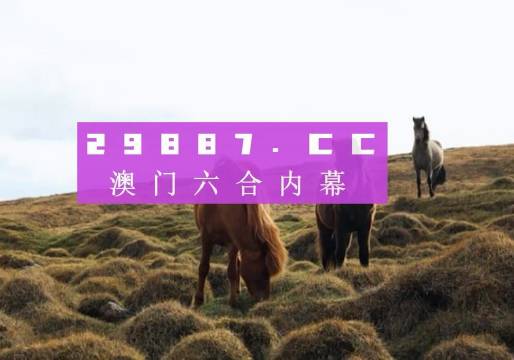 澳门开奖结果，探索彩票的魅力与影响